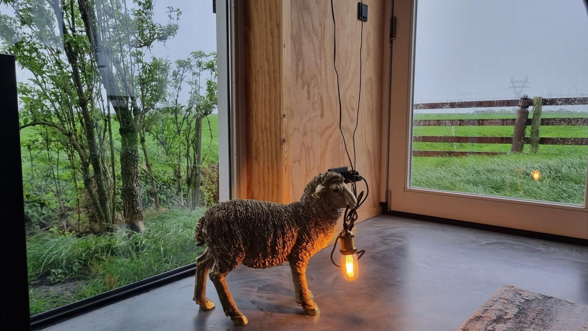 City Farmers Lodge, A Guesthouse With A Skyline View In Rural Amsterdam Dış mekan fotoğraf
