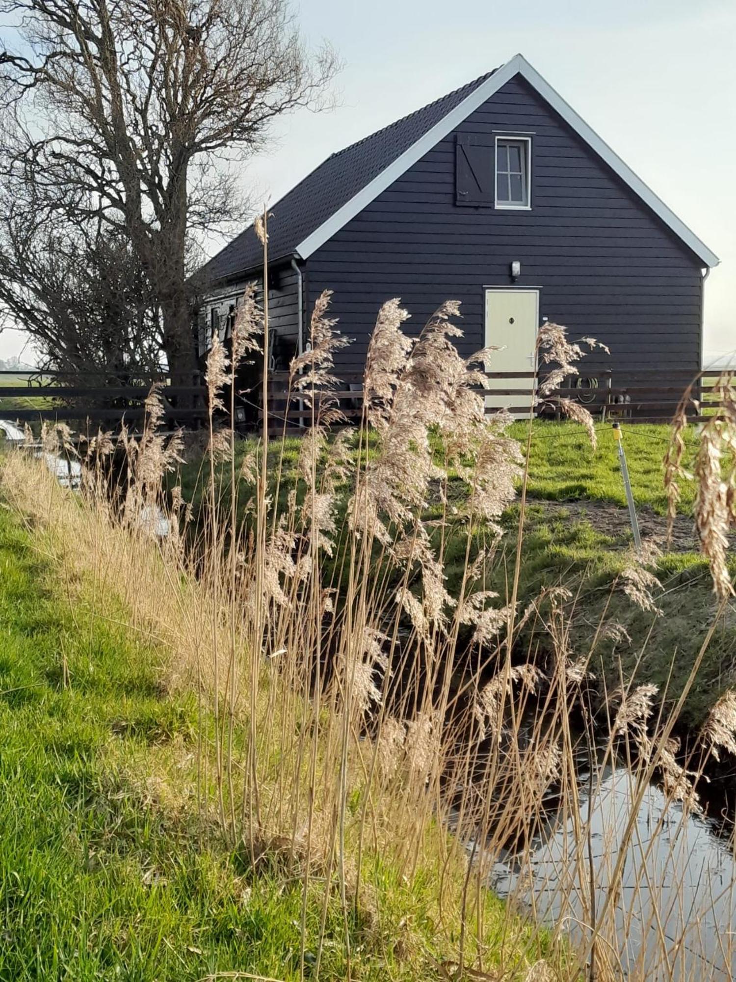 City Farmers Lodge, A Guesthouse With A Skyline View In Rural Amsterdam Dış mekan fotoğraf